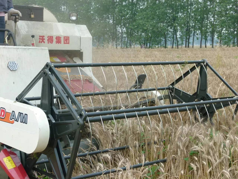 農機“創”客千里跨區，看我沃得致富標兵1